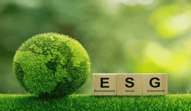 The Ethical Investor: Demat Accounts Aligned with ESG Principles